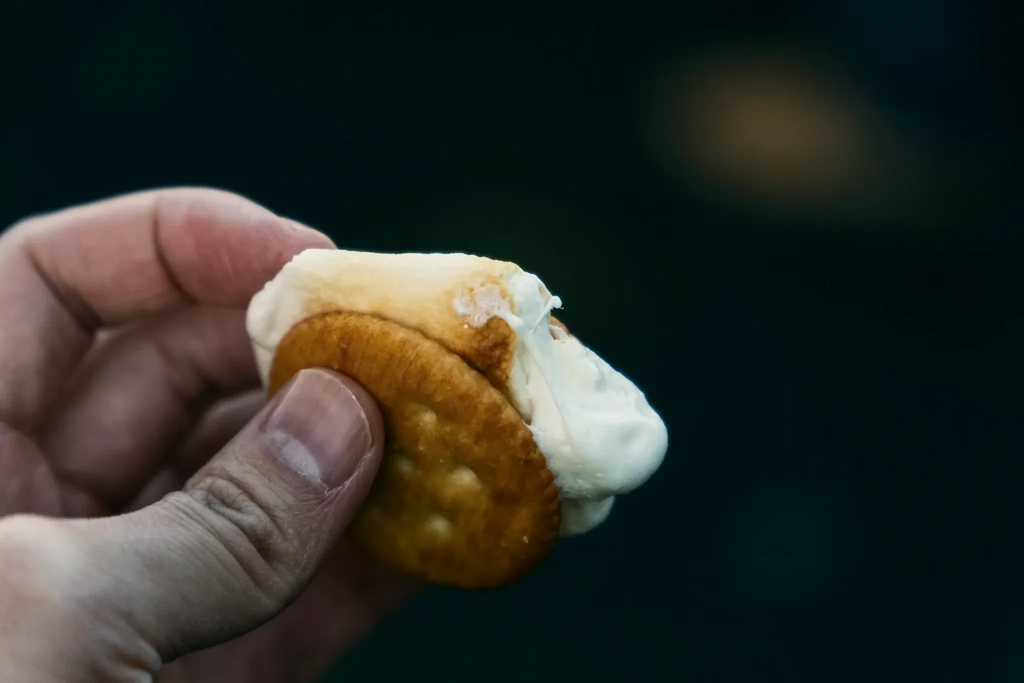 焼いたマシュマロをビスケットで挟んだお菓子を、手で持っている。
